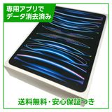 iPadPro��11�������4���塡Wi��Fi��256GB������С�