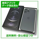 iPhone12ProMax256GBեȡSIMե꡼եȥХ