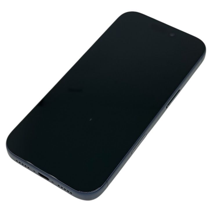 �ڥХåƥ꡼100%��iPhone��17Pro��256GB���ǥ����ץ֥롼��SIM�ե꡼