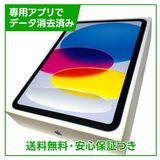 �ڥХåƥ꡼100%��iPad��11��Wi��Fi��128GB���֥롼