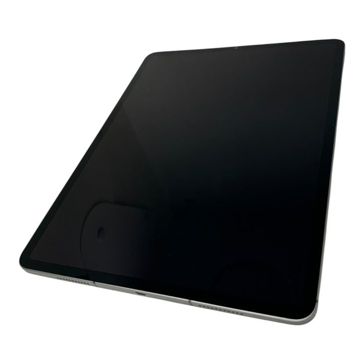 �ڥХåƥ꡼81%��iPadPro��5���塡12.9�����������顼��ǥ롡1TB�����ڡ������쥤