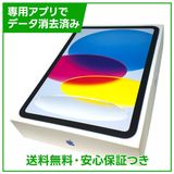 �ڥХåƥ꡼100%��iPad��11��Wi��Fi��Cellular��128GB���֥롼