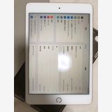 iPad mini 5 pybass iCloud 256 gb