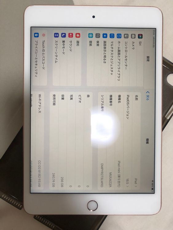 iPad mini 5 pybass iCloud 256 gb
