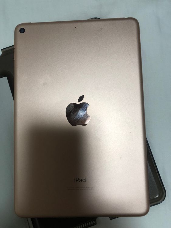 iPad mini 5 pybass iCloud 256 gb