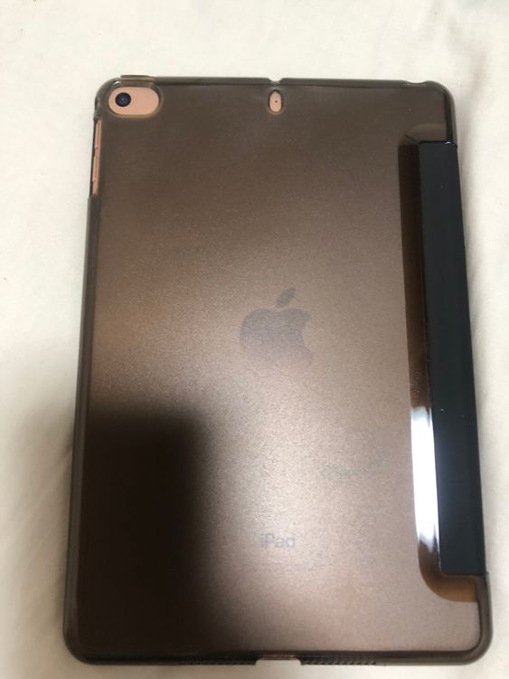 iPad mini 5 pybass iCloud 256 gb