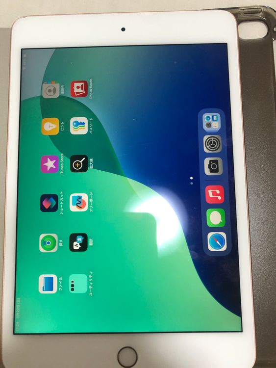 iPad mini 5 pybass iCloud 256 gb