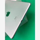 �������� iPad Mini ��5���� Wi-Fi 256GB ����С� SIM�ե꡼ H3
