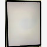  iPad Pro 12.9 5 Wi-Fi 256GB