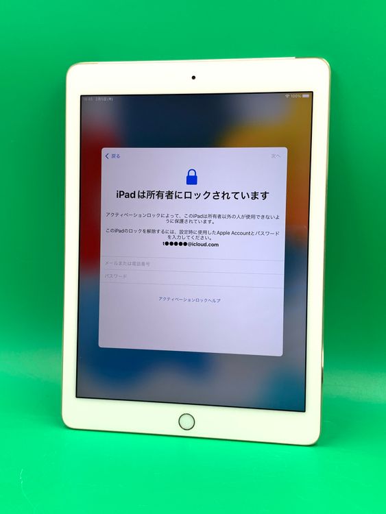 �� �����ƥ��١��������å� iPad Air ��2���� Wi-Fi+Cellular 16GB