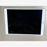 ����¡������� iPad Air ��3���� Wi-Fi+Cellular 256GB SIM�ե꡼