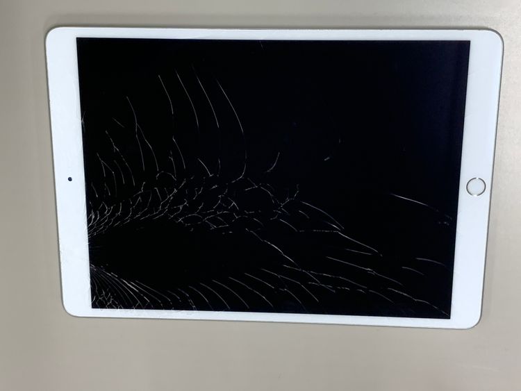 ����¡������� iPad Air ��3���� Wi-Fi+Cellular 256GB SIM�ե꡼