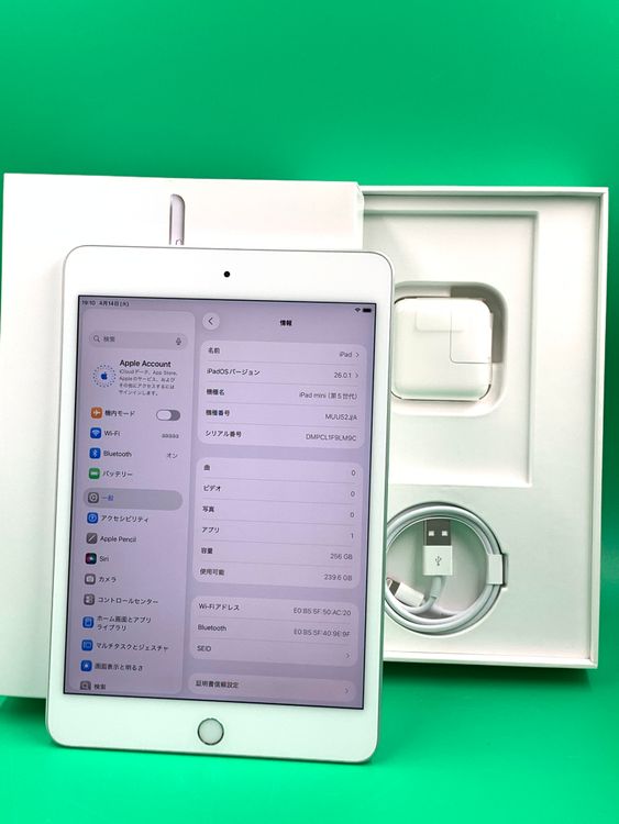 �������� iPad Mini ��5���� Wi-Fi 256GB ����С� SIM�ե꡼ H3