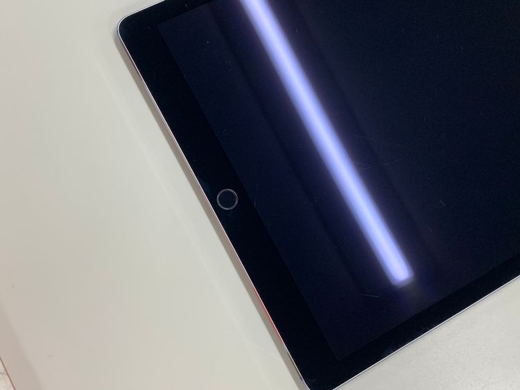  iPad Pro 12.9 2 Wi-Fi+Cellular 64GB