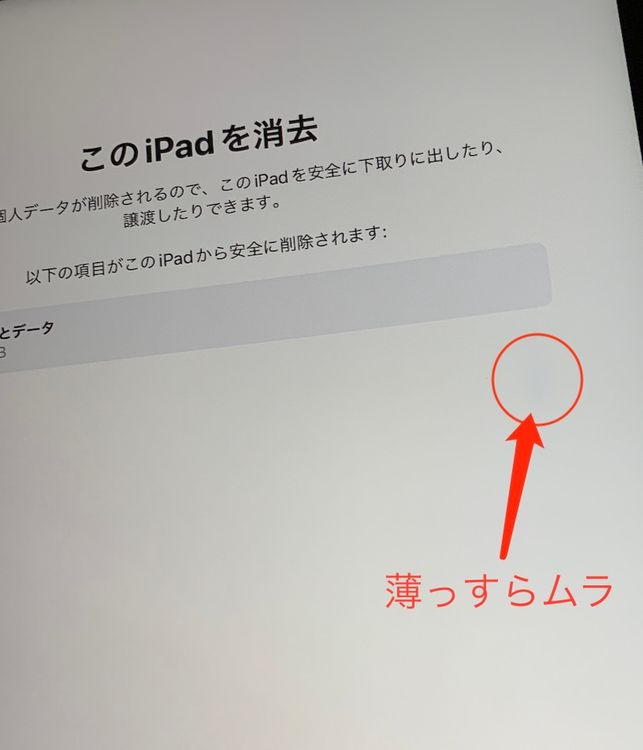 ������ iPad ��7���� Wi-Fi+Cellular 32GB ���ڡ������졼 docomo ��