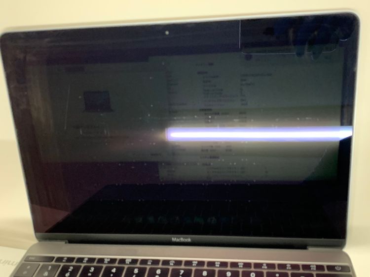 MacBook 12 intel Core M3 1.1GHz 2016 8GB 256GB