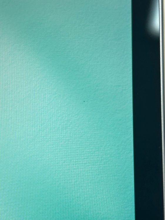 ���������� iPad Air ��4���� Wi-Fi 256GB �������֥롼  SIM�ե꡼