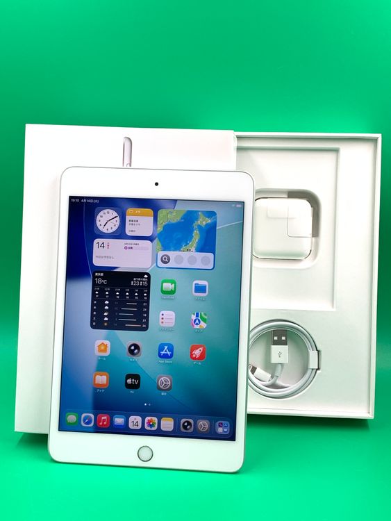 �������� iPad Mini ��5���� Wi-Fi 256GB ����С� SIM�ե꡼ H3