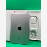 �������� iPad Mini ��5���� Wi-Fi 256GB ����С� SIM�ե꡼ H3
