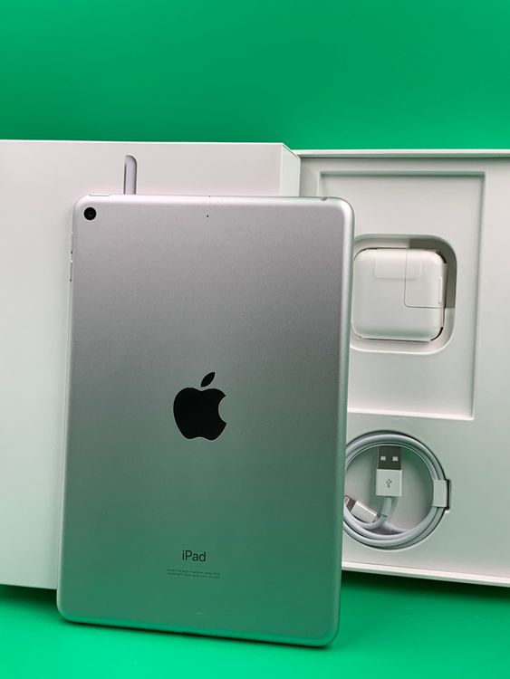 �������� iPad Mini ��5���� Wi-Fi 256GB ����С� SIM�ե꡼ H3