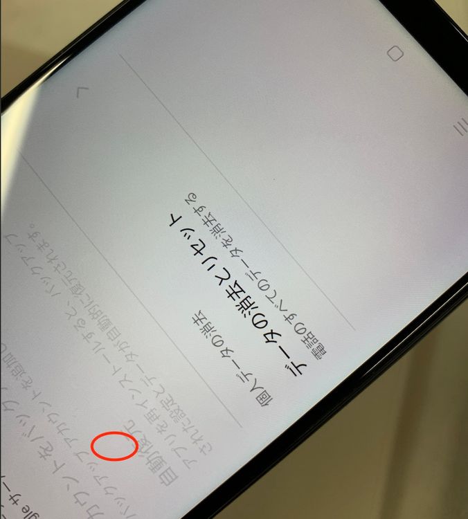 �����礤���� Oppo A5 2020 64GB SIM�ե꡼ ��ŷ��Х��� ��