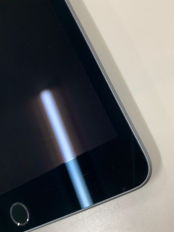  iPad mini 5 Wi-Fi 64GB ڡ쥤 mini5