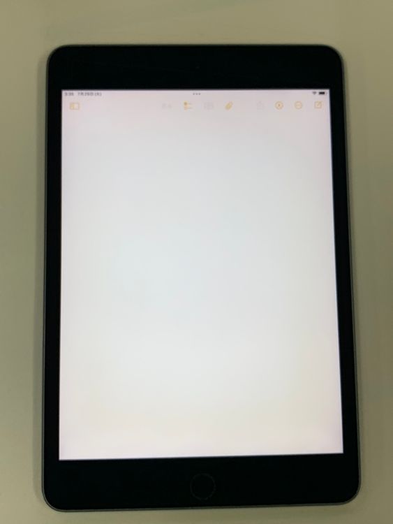  iPad mini 5 Wi-Fi 64GB ڡ쥤 mini5