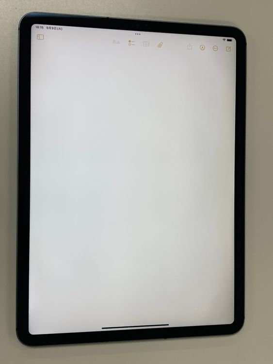 �����礤���� iPad Pro 11����� ��1���� Wi-Fi+Cellular 256GB