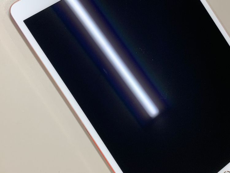 ����� iPad Pro 10.5����� Wi-Fi+Cellular 64GB �������������