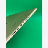 iPad Air ��2���� Wi-Fi + Cellular 16GB������� SIM�� ����Ǥ���