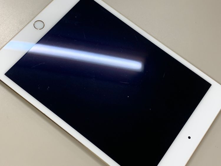 ����� iPad mini ��4���� Wi-Fi 64GB MK9J2J/A �������