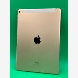 iPad Air ��2���� Wi-Fi + Cellular 16GB������� SIM�� ����Ǥ���