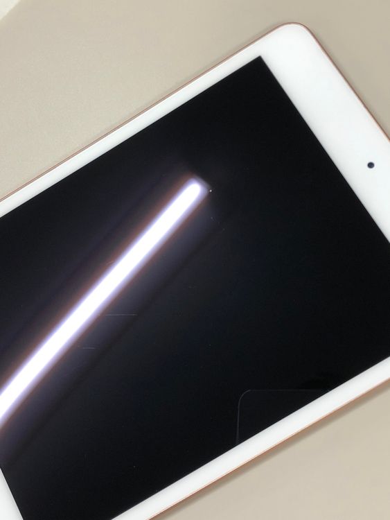 ���Хåƥ꡼���� iPad mini ��5���� Wi-Fi 64GB �������