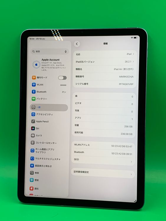 ������ iPad Air ��5���� Wi-Fi 256GB �֥롼 ��������91% ������