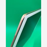 ��������� iPad Air ��2���� Wi-Fi+Cellular SIM�� ����Ǥ���