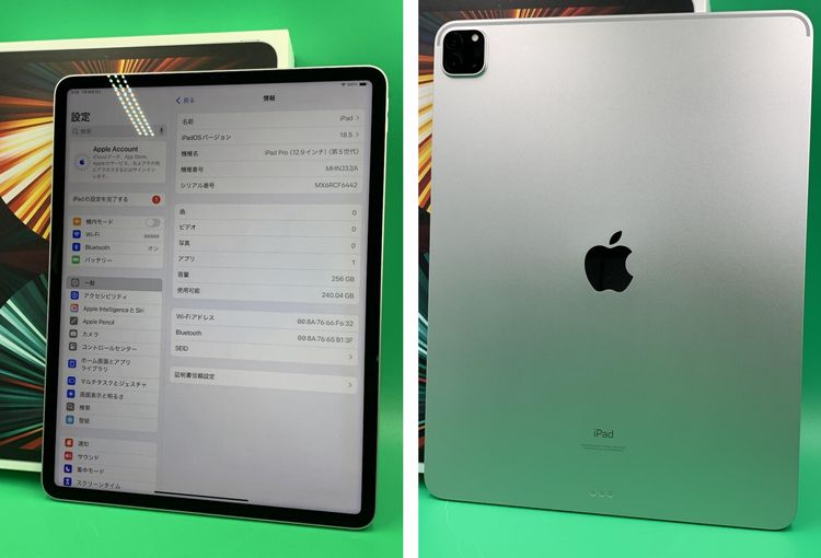  iPad Pro 12.9 5 Wi-Fi 256GB