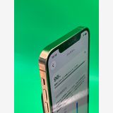 ������ iPhone 12 Pro 256GB ������� SIM�ե꡼ Softbank ��