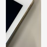 iPad Air ��2���� Wi-Fi + Cellular 16GB������� SIM�� ����Ǥ���