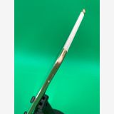 ����� iPad Mini ��4���� Wi-Fi+Cellular 16GB ����С� KDDI ��