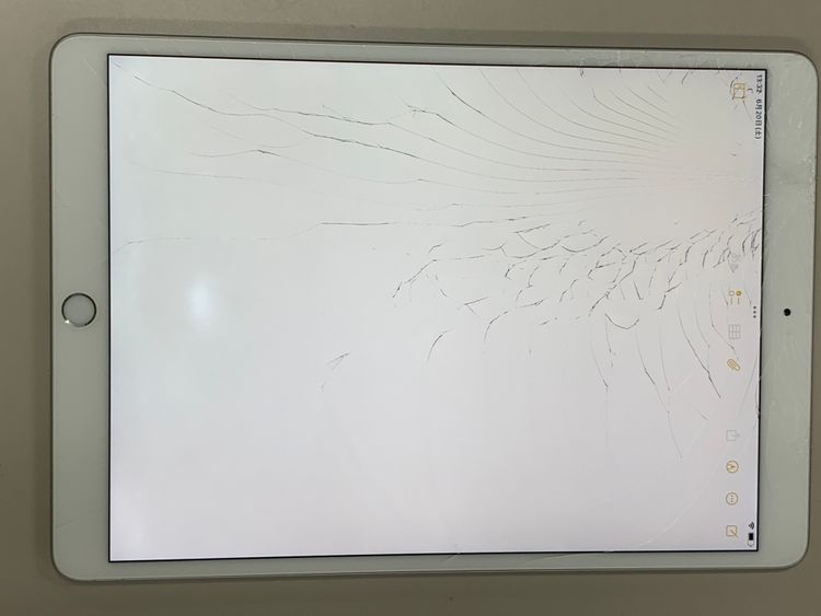����¡������� iPad Air ��3���� Wi-Fi+Cellular 256GB SIM�ե꡼