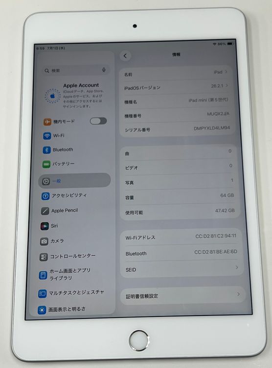 �Хåƥ꡼89% iPad mini5 64gb wifi��ǥ롡����С�