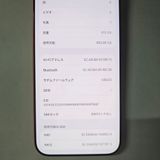 iPhone 17 Pro Max 512GB ����� SIM�ե꡼
