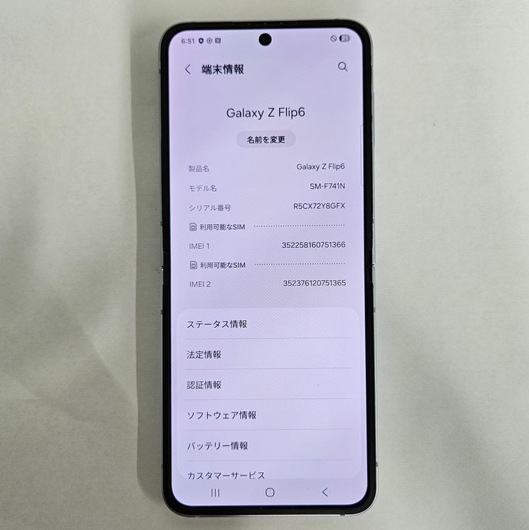 FLIP6 256GB �֥롼 SIM�ե꡼ A���