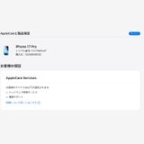 iPhone 17 Pro 256GB ����С� SIM�ե꡼