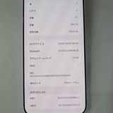 iPhone 17 Pro Max 256GB ����С� SIM�ե꡼