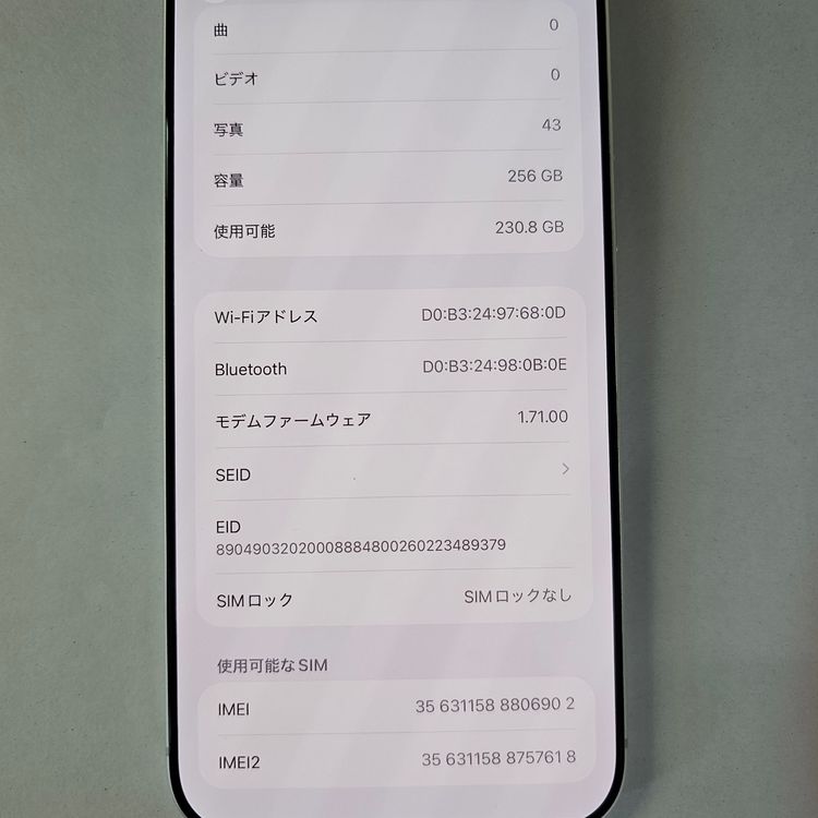 iPhone 17 Pro Max 256GB ����С� SIM�ե꡼