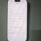 iPhone 17 Pro 256GB ����С� SIM�ե꡼