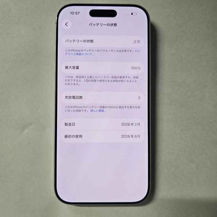 iPhone 17 Pro 256GB ����С� SIM�ե꡼