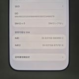 iPhone 17 Pro Max 256GB ����С� SIM�ե꡼
