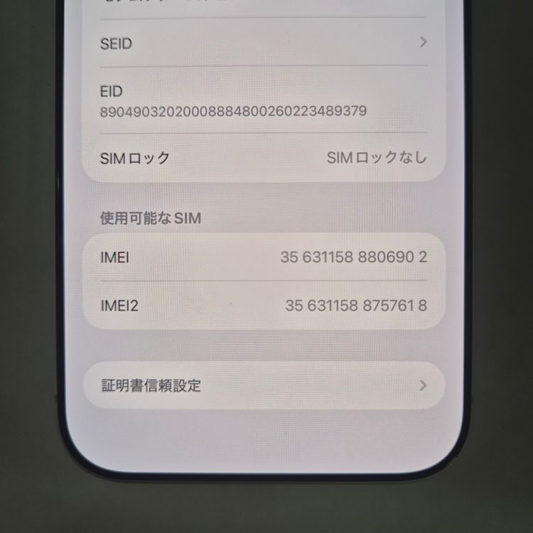 iPhone 17 Pro Max 256GB ����С� SIM�ե꡼